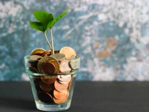 flower pot with plant and coins